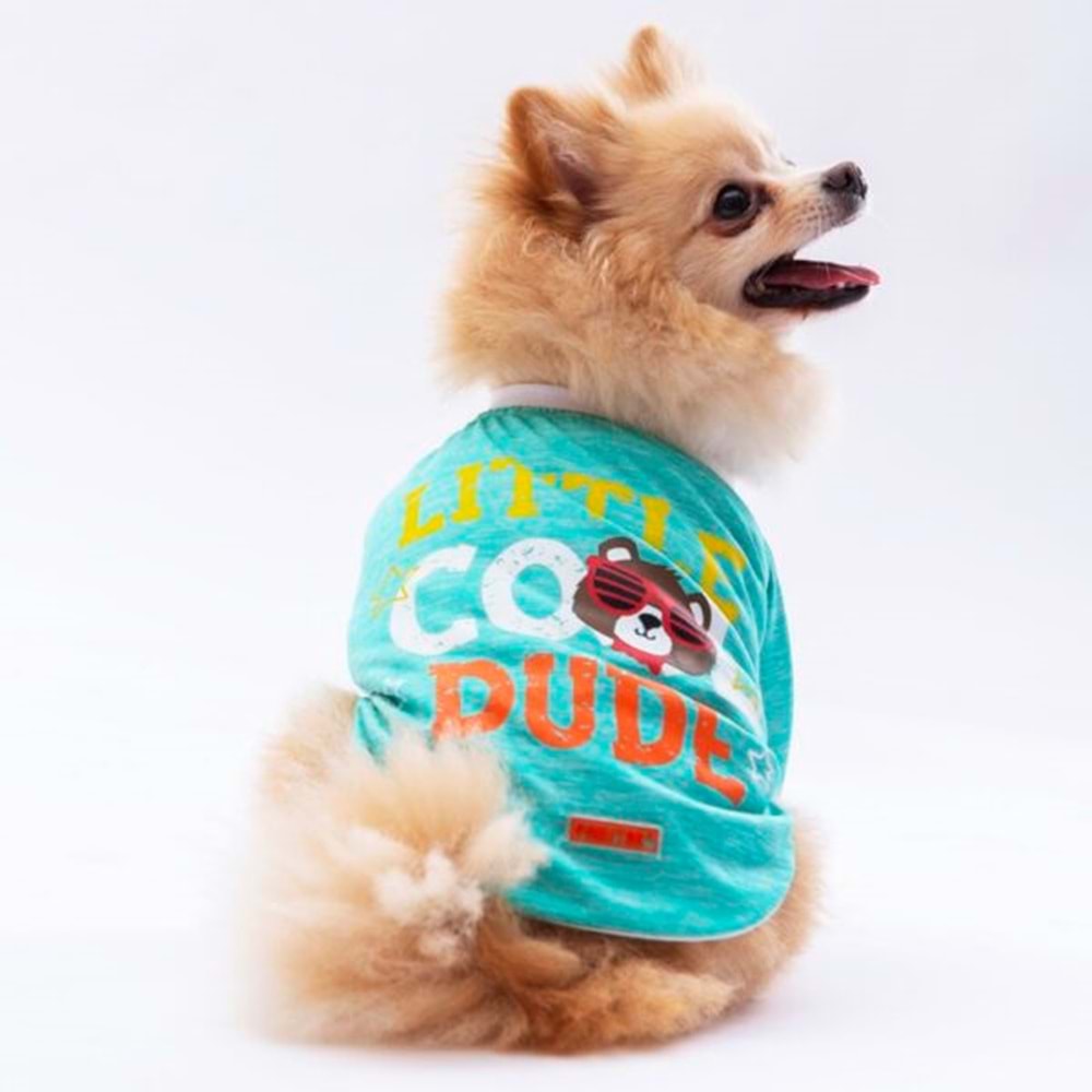 24720 Mint Dude Sweat