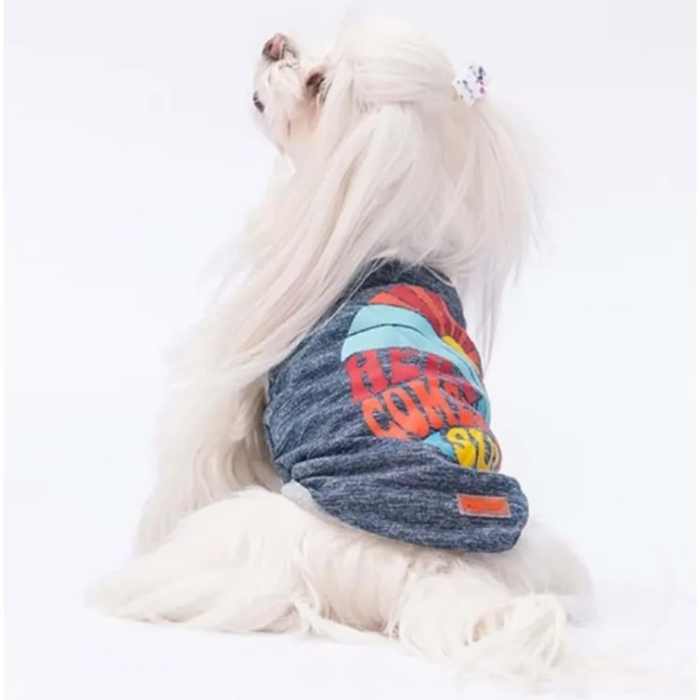 Lacivert The Sun Tişört