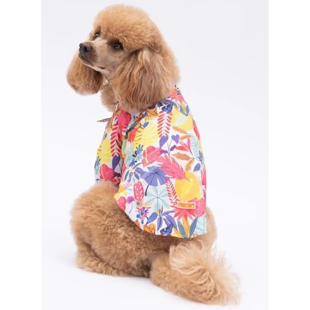 Miami Desenli Gömlek