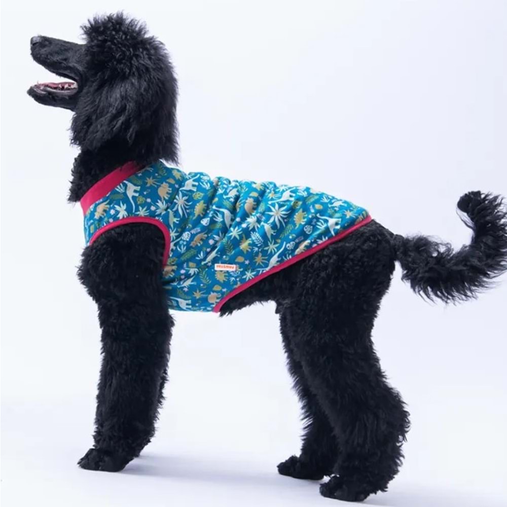 Dino Büyük Tişört