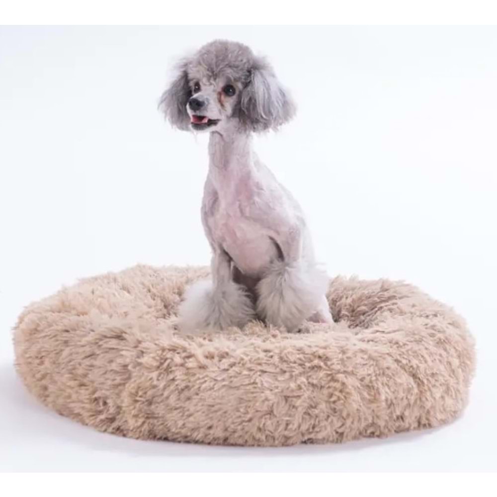 Bej Donut Kedi Köpek Yatağı-L