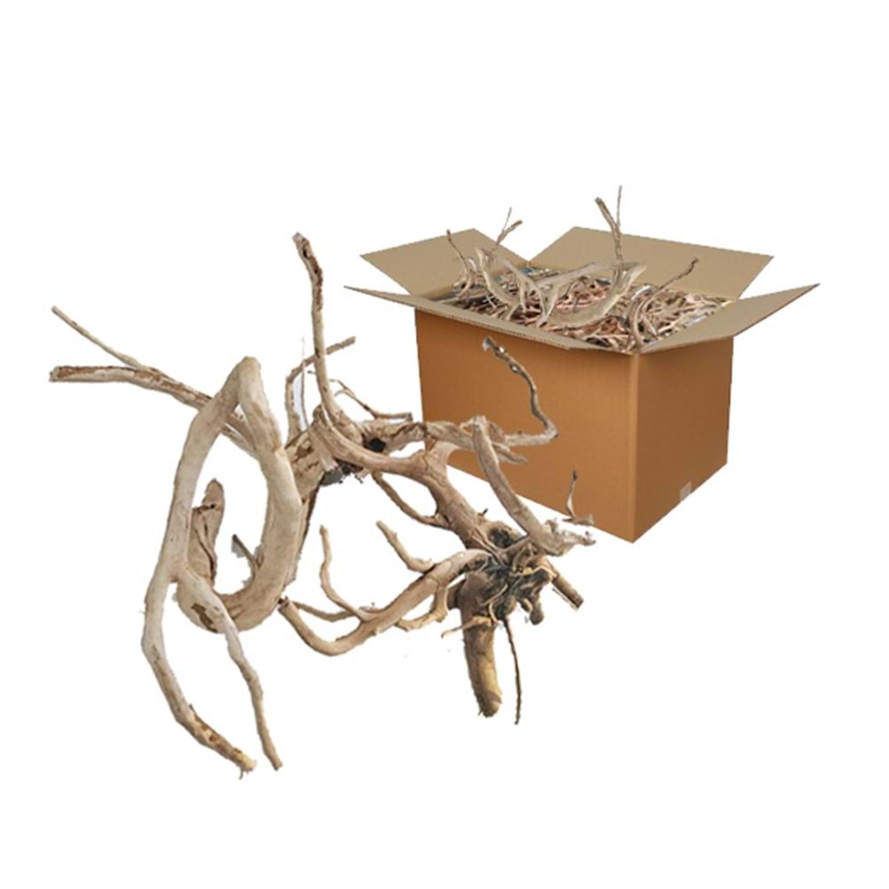 Çöl Kütüğü İnce Dal