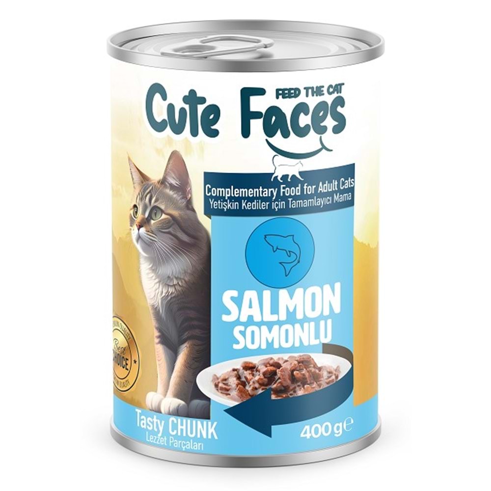 Cute Faces Adult Cat Salmon Sos İçinde Et Parçacıklı 400 Gr. Konserve