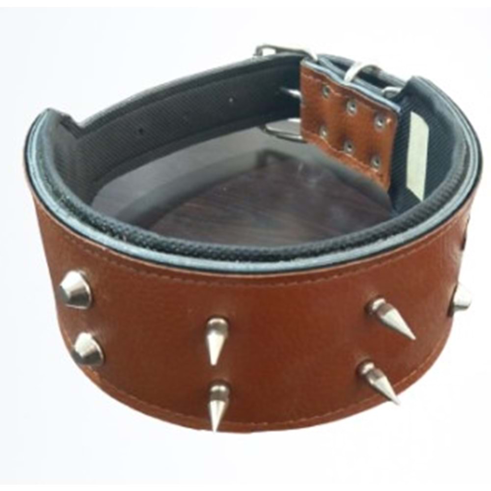 Köpek Çivili Boyun Tasması 8 Cm & Gezdirme