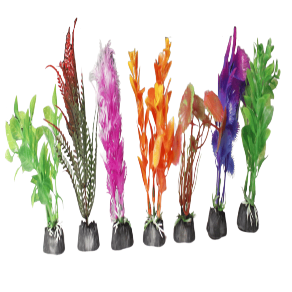 Akvaryum Bitkisi 5 cm