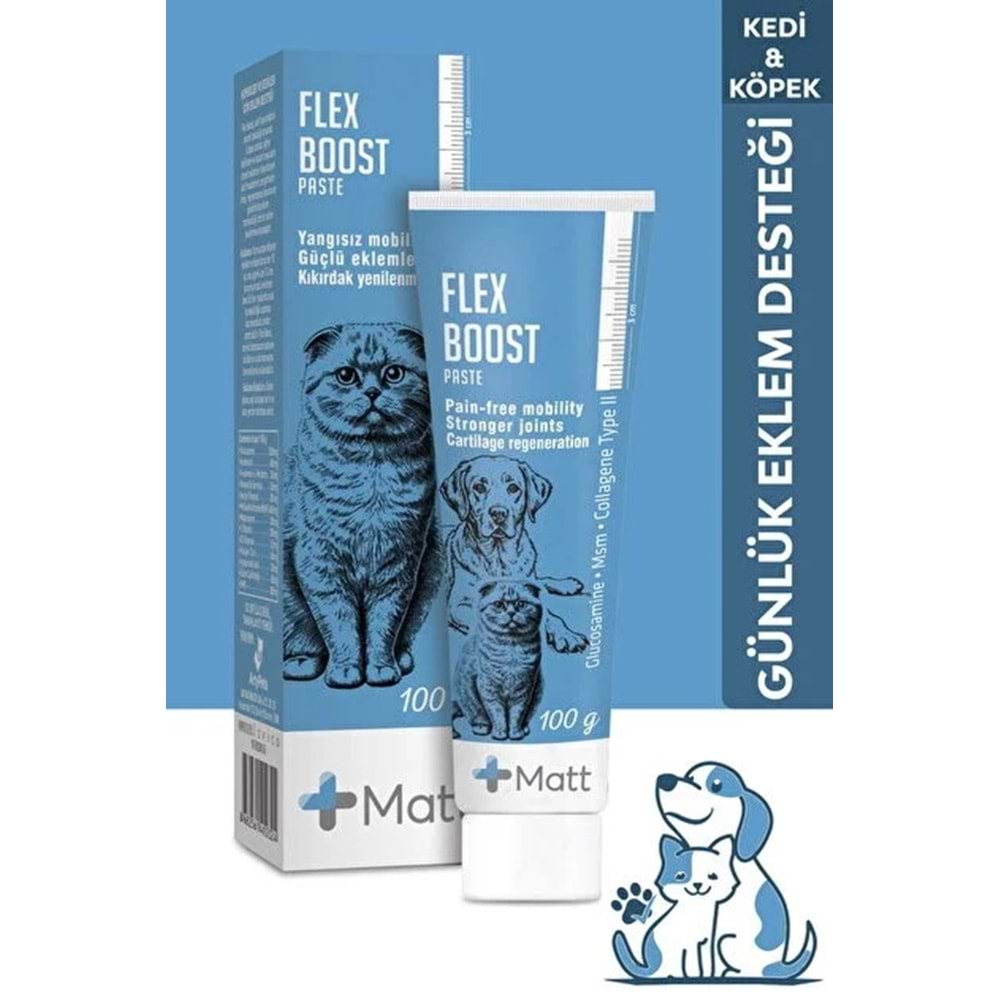 Matt Flex Boost Paste 100 Gr
