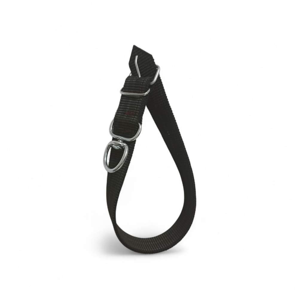 Büyük Irk Kolon Tasma