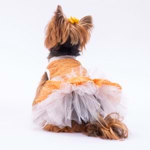 Kahverengi Primavera Elbise