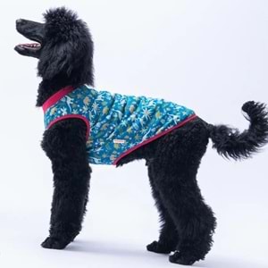 Dino Büyük Tişört