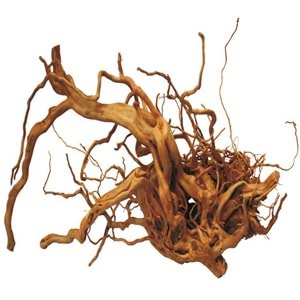 Eurostar Çöl Kütüğü (Bağ)