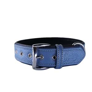 Daisy Flotter Deri Köpek Tasması L-3Cm Turkuaz-Laci