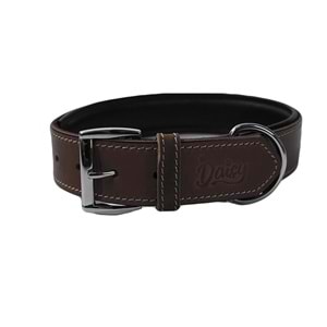 Daisy Yağlı Deri Köpek Tasması S-2,5Cm Kahve
