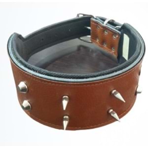 Köpek Çivili Boyun Tasması 8 Cm & Gezdirme