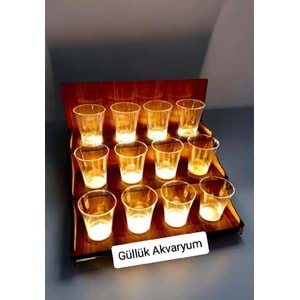 IŞIKLI AHŞAP BETA BALIK STANTI