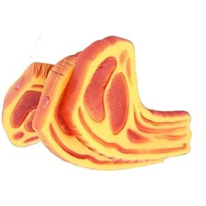 Sesli Biftek Modelli Isırma Oyuncak