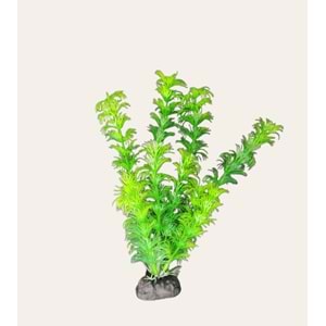 Plastik Akvaryum Bitkisi 20 Cm