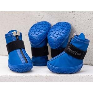 Mavi Köpek Ayakkabısı