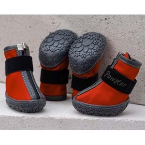 Kırmızı Köpek Ayakkabısı