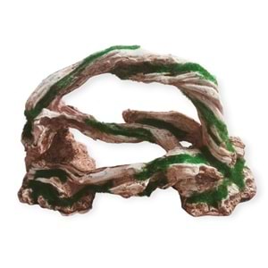 Yosunlu Ağaç Dekor