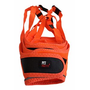 Petpretty Ağızlık Turuncu 5'Li Set