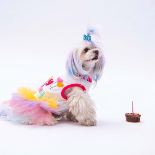 Happy Birthday Elbise