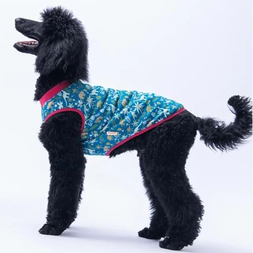 Dino Büyük Tişört