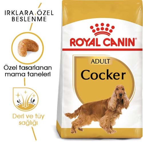 Royal Canin Cocker Spaniel 25 Yetişkin Köpek Maması 3Kg