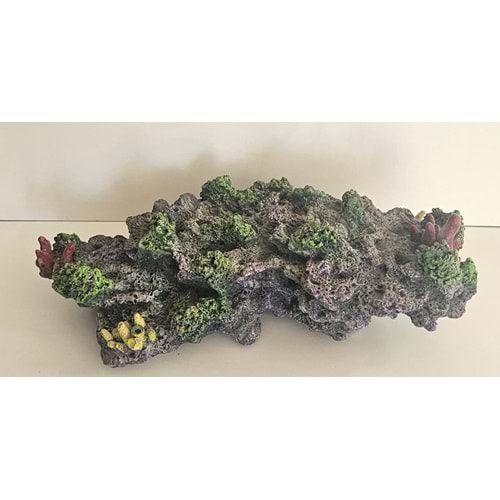 Resif Kayalık (Üst)