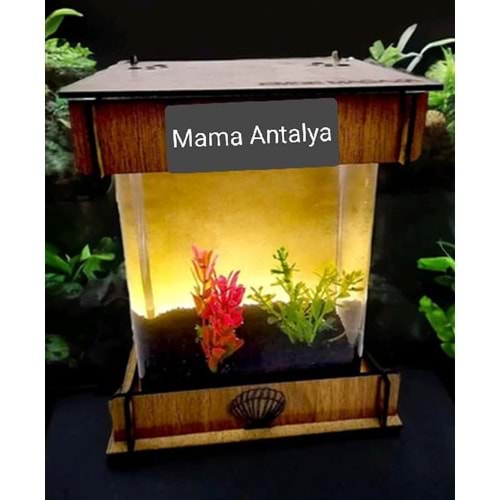 LED IŞIKLI BETA AKVARYUMU