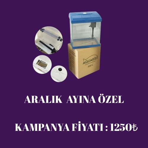 Aralık Ayına Özel Kamyanyalar 2