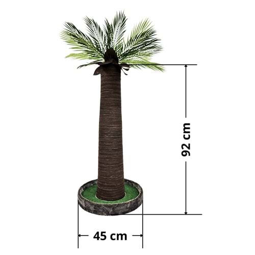 Palmiye Kedi Tırmalaması