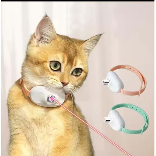Lazerli Kedi Boyun Tasması