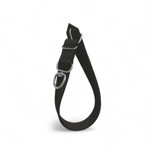 Büyük Irk Kolon Tasma