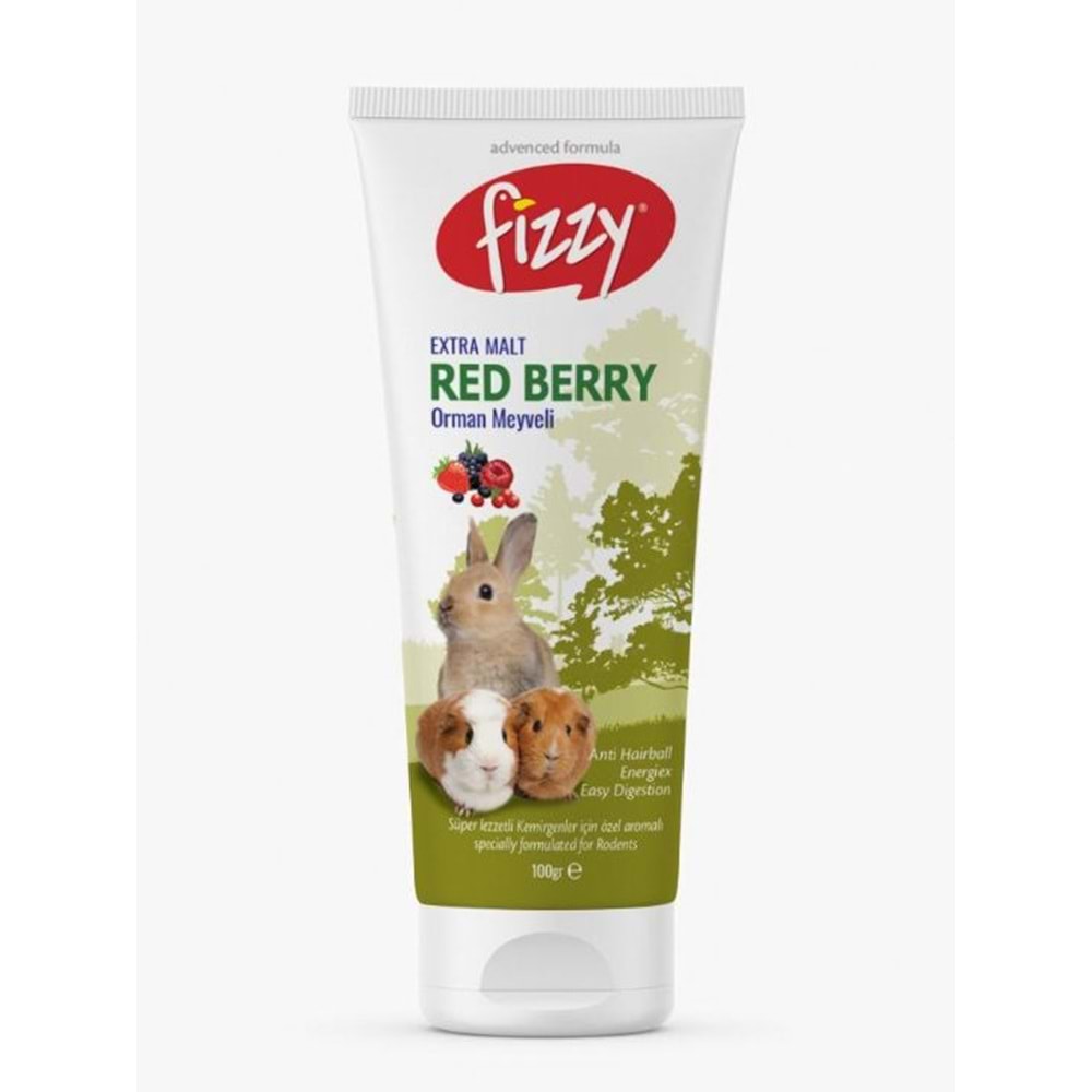 Fizzy Kemirgen Red Berry Paste 100Gr