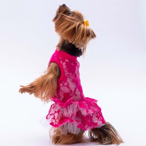 24305 Pembe Rosa Elbise