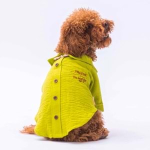 24404 Yeşil Linen Look Gömlek