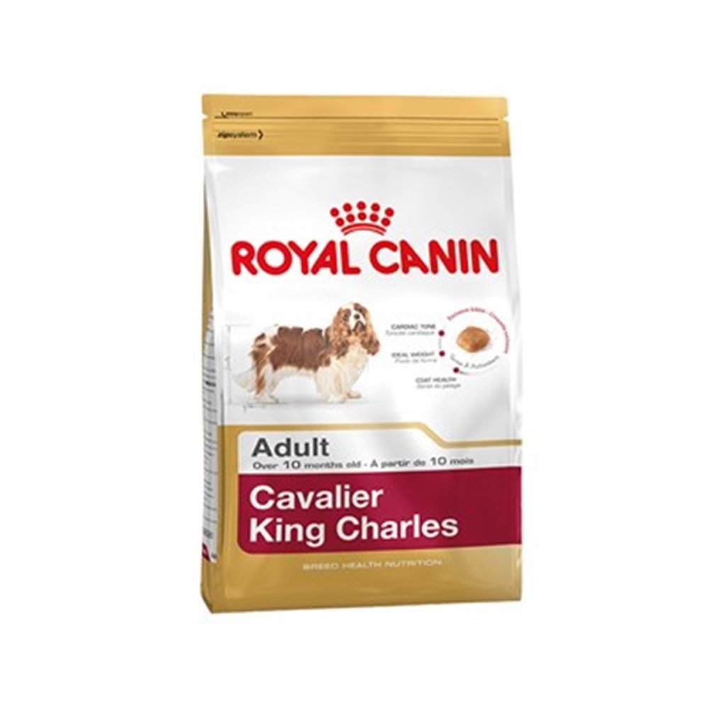 Royal Canin Cavalier King Charles 27 Yetişkin Köpek Maması 3Kg
