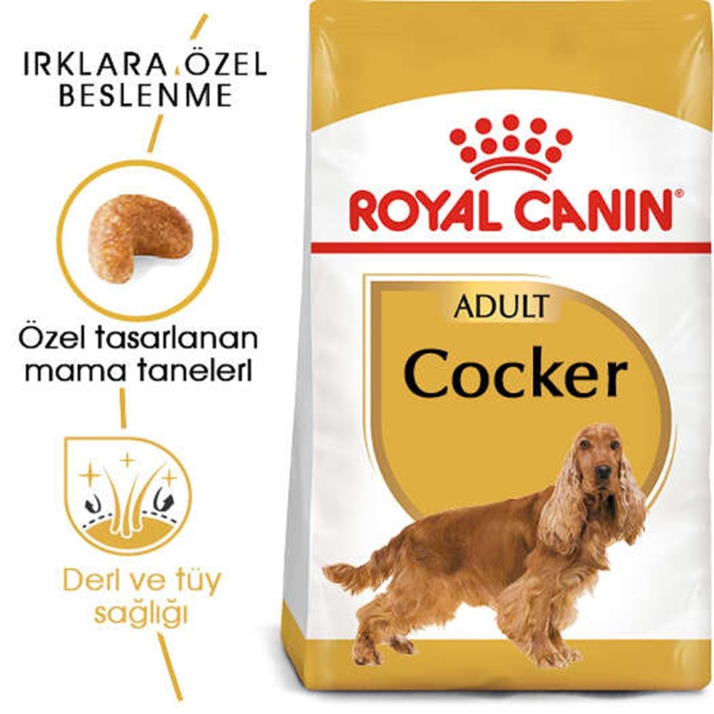 Royal Canin Cocker Spaniel 25 Yetişkin Köpek Maması 3Kg