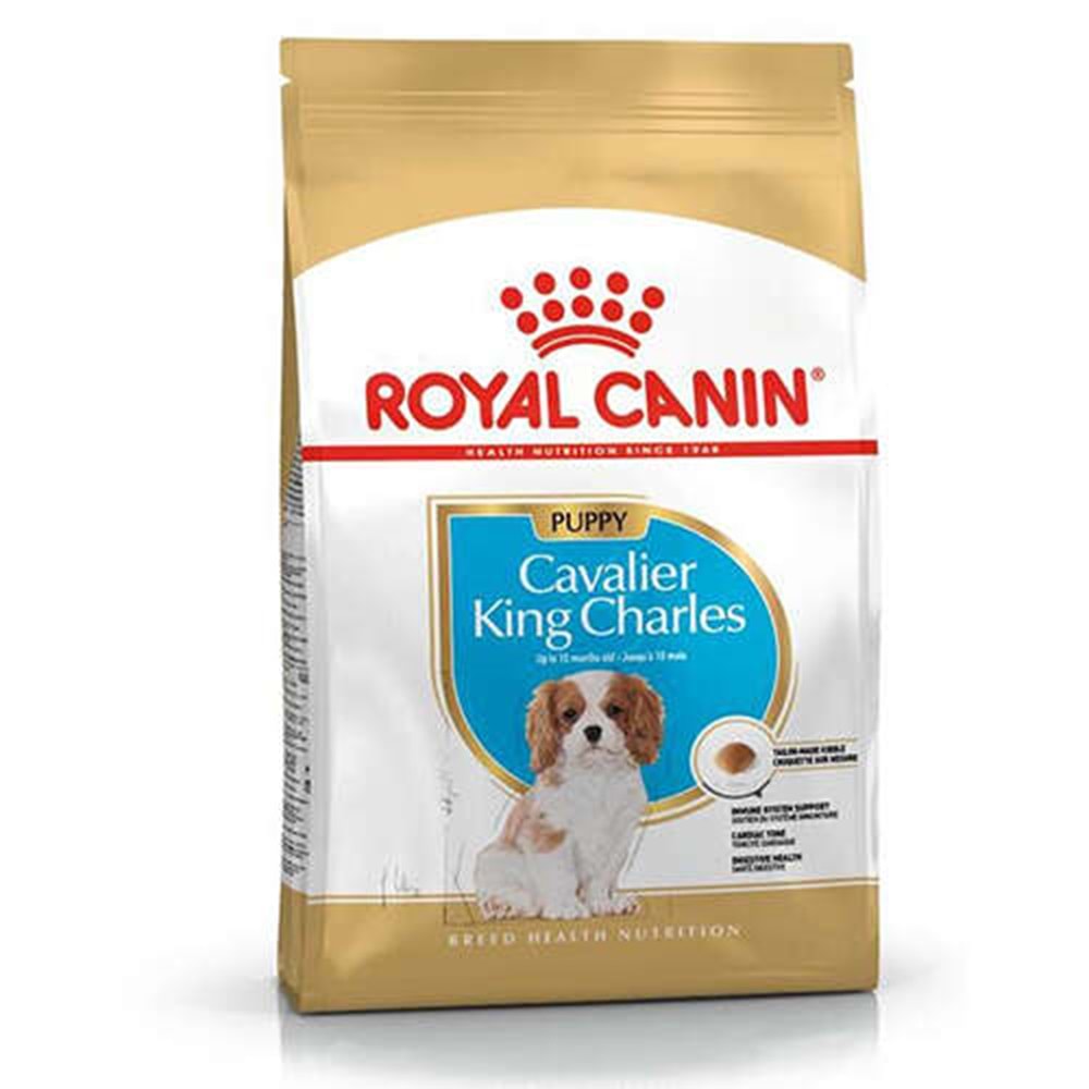Royal Canin Puppy Cavalier King Charles Yavru Köpek Maması 1,5Kg