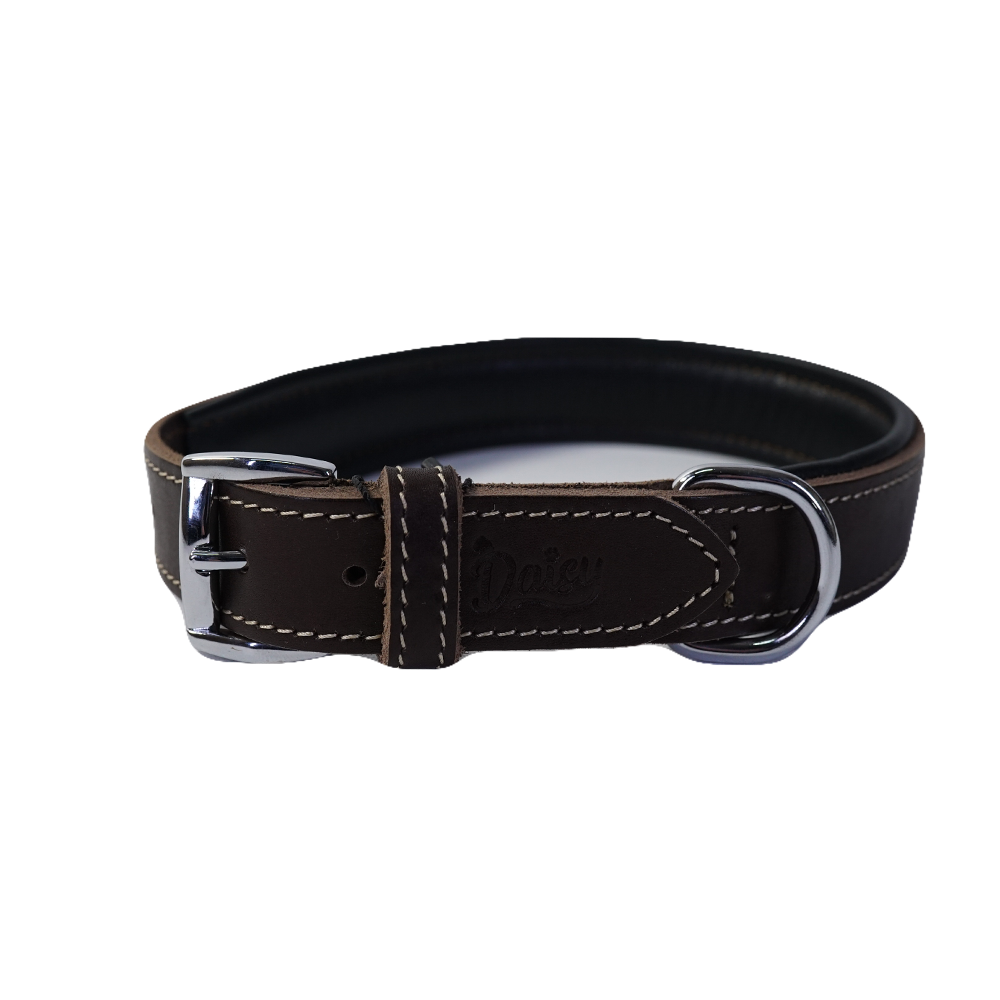 Daisy Klasik Deri Köpek Tasması Xxs-2Cm Kahve