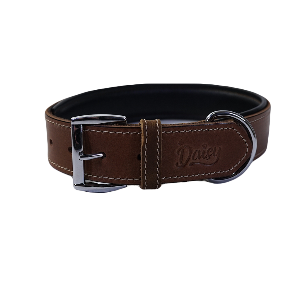 Daisy Yağlı Deri Köpek Tasması Xl-4Cm Taba