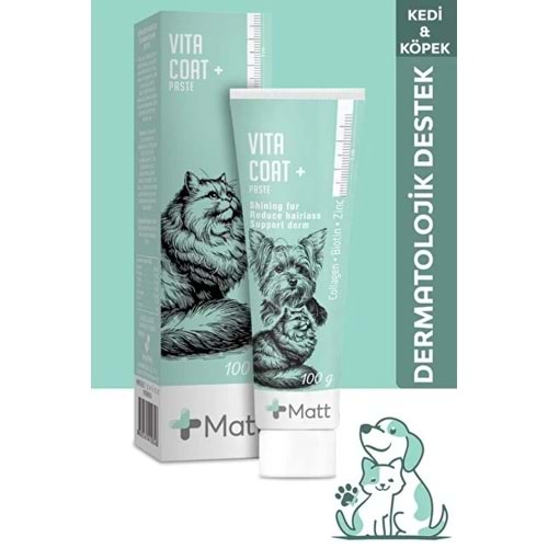 Matt Vıta Coat Paste 100 Gr
