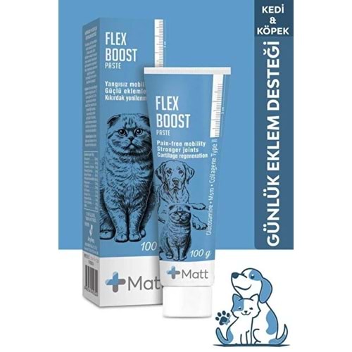 Matt Flex Boost Paste 100 Gr