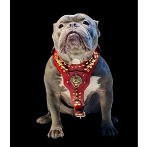 Glatyatör Göğüs Tasma